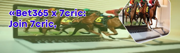 Horse racing betting india