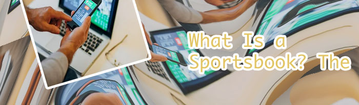 What is a bookie in betting