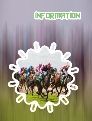 What is box betting in horse racing