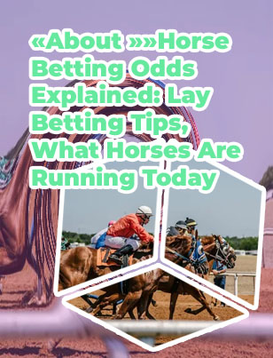What is lay betting in horse racing